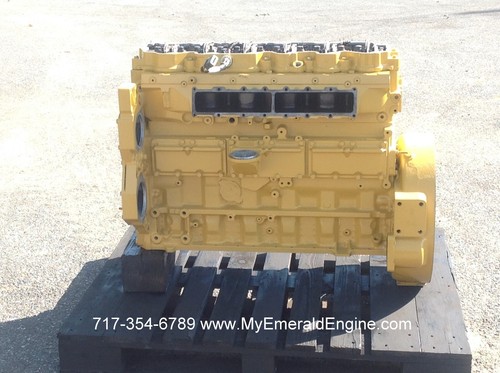 Cat acert caterpillar long - caterpillar,