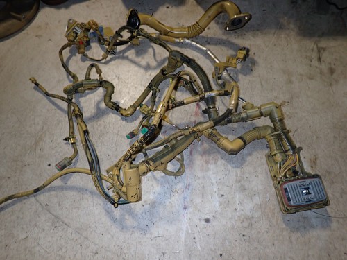 Caterpillar cat acert - caterpillar,